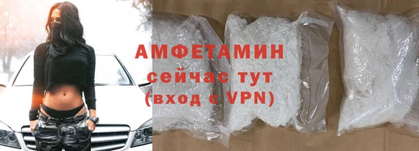 индика Сясьстрой