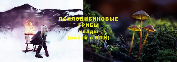 прущая мука Тихвин
