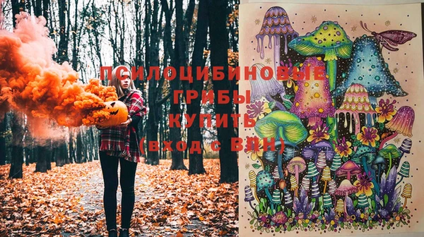 прущая мука Тихвин