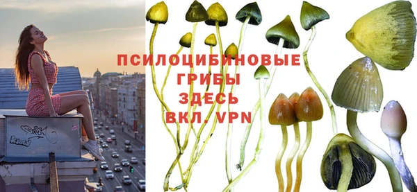 прущая мука Тихвин