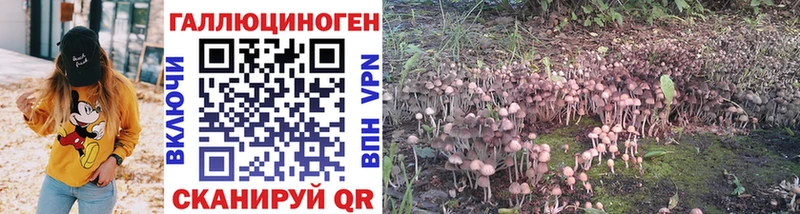 Галлюциногенные грибы прущие грибы  Гурьевск 