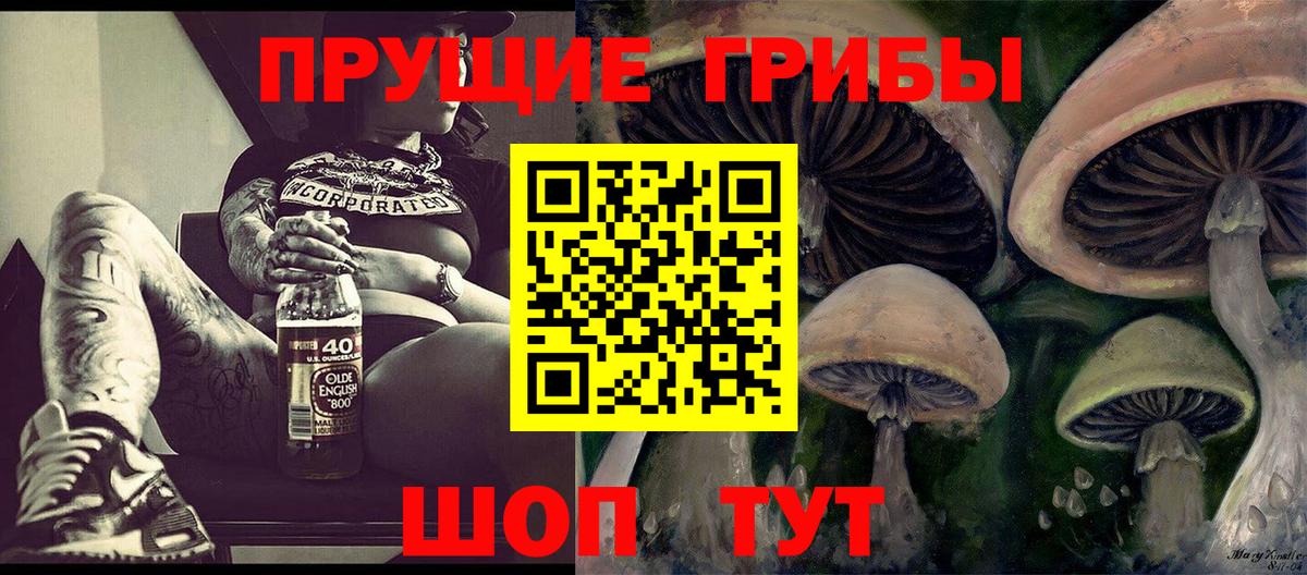 Псилоцибиновые грибы GOLDEN TEACHER Гурьевск