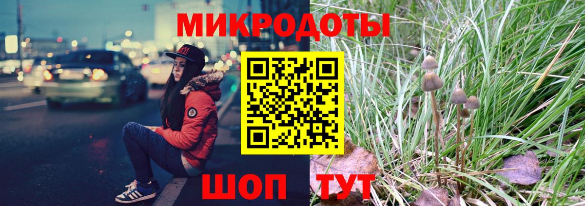 Галлюциногенные грибы MAGIC MUSHROOMS  Вход с VPN  Гурьевск 