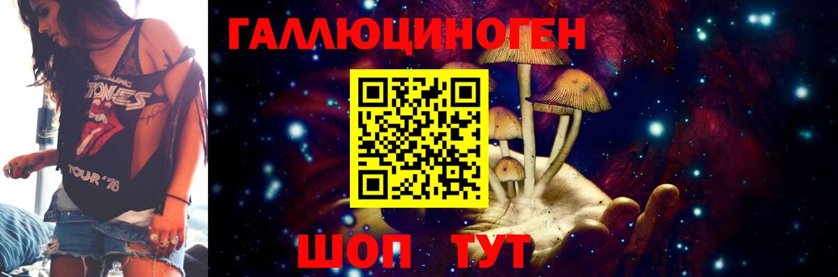 Галлюциногенные грибы мицелий  Гурьевск 